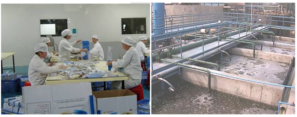 藥品制造廠的廢水和廢氣需要檢測哪些項目?(圖1) 深圳準諾檢測有限公司
